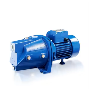 Chengdu Pump- Model: 125QJ10-50-3KW