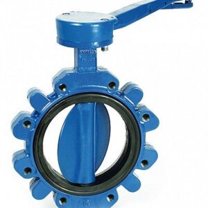 Turbine Butterfly Valve