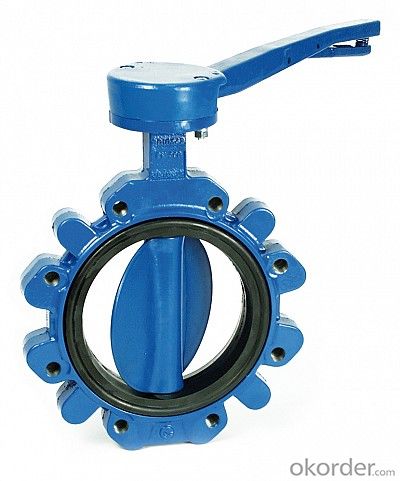 Turbine Butterfly Valve
