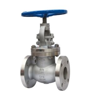 2½″ Bellow Seal Valve in Kenya, Uganda, Tanzania, Ethiopia, Juba & Rwanda – System Star Technologies Limited