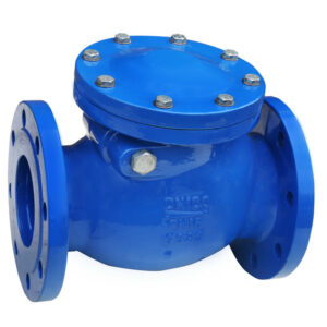 Swing Check Valve PN16 in Kenya, Uganda, Tanzania, Ethiopia, Juba & Rwanda – System Star Technologies Limited