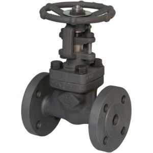 Carbon Steel Gate Valve in Kenya, Uganda, Tanzania and Burundi