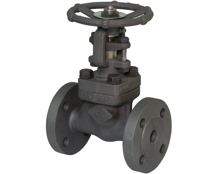 Carbon Steel Gate Valve in Kenya, Uganda, Tanzania and Burundi