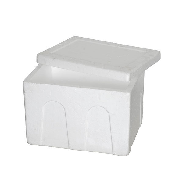 Polystyrene Packaging Boxes in Kenya, Uganda, Tanzania, Ethiopia, Juba & Rwanda – System Star Technologies Limited