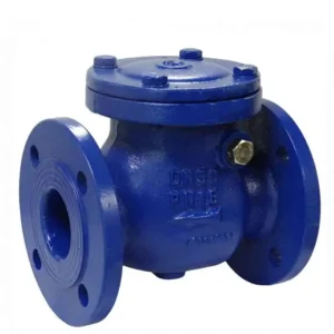 Non return valve used to prevent backflow in water systems, HVAC pipelines, pumps, and industrial applications in Kenya, Uganda, and Tanzania supplied by System Star Industrial.