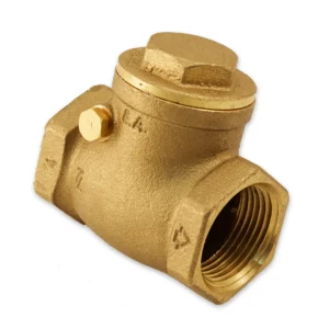 1/2" Check Valve supplied by System Star Industrial for preventing backflow in water supply, HVAC systems, compressed air lines, and industrial piping systems across Kenya, Uganda, and Tanzania.